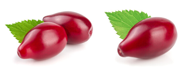 Red berries of cornel or dogwood with leaf isolated on white background