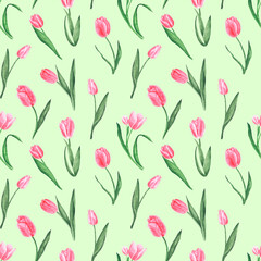 Pink tulips watercolor seamless pattern. Spring, flora, plant, flower. Blooming tulips. Light green background. For printing on textiles, fabrics, wrapping paper, postcards, covers.