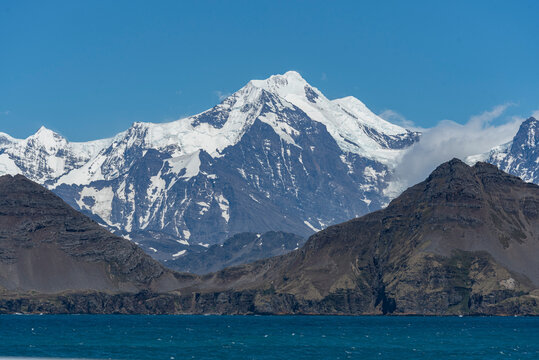 South Georgia Islands