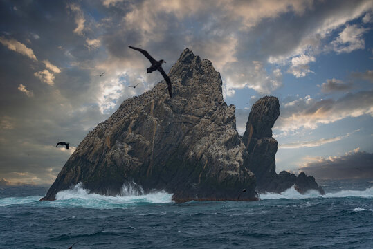 South Georgia Islands