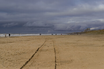 Walking near the sea on the sand beach, Katwijk