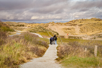 Fototapeta na wymiar Walking with a horse near the sea on the sand beach , Katwijk