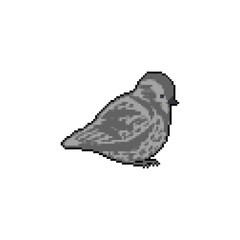 Sparrow pixel art. 8 bit Small bird. Vector illustration.