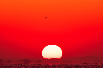 Scenic view of the Sun against sky during sunrise