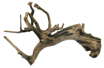 Bogwood