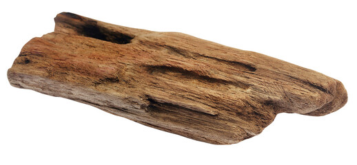 Bogwood