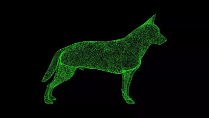 3D dog on black bg. Object dissolved green flickering particles. Business advertising backdrop. Science concept. For title, text, presentation. 3D animation.