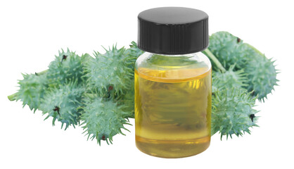 Castor oil with green beans