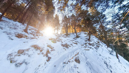 Winter hike though forest landscape up to Jochberg peak