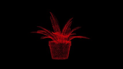 3D pot with flower on black bg. Object dissolved red flickering particles. Business backdrop. Science concept. Abstract bg title, presentation. Holographic screensaver. 3D animation