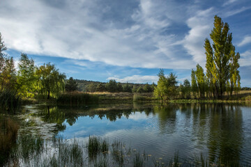 Fototapeta na wymiar Tranquil Pond