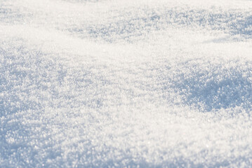 Fluffy freshly fallen snow sparkles in the sun