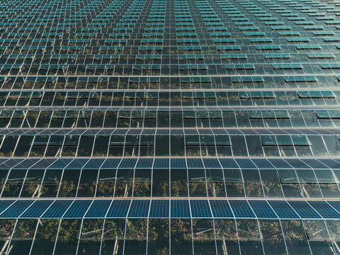 Greenhouse for growing vegetables with mounted photovoltaic panels - Powered by Adobe