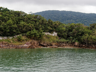 Fototapeta premium tropical forest before enter in harbor of santos brazil