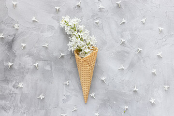 White lilac flowers in ice cream cone. Abstract spring background