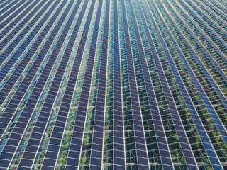 Greenhouse for growing vegetables with mounted photovoltaic panels