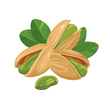 Vector product walnut pistachio icon. Pistachio nuts in the shell and with leaves. Illustration of food pistachio in flat minimalism style.Vector eps 10. perfect for design elements	