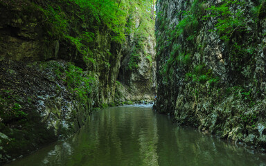 A river flowing through a canyon narrowed by vertical stone walls and sharp cliffs. Green moss is growing on the ravines. Ramet gorges, Carpathia, Romania.

