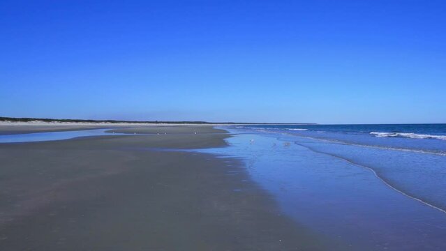 Endless empty beach at Cumberland Island National Seashore. Cumberland Island, largest of Georgia's Golden Isles, is managed by National Park Service. Dungeness Beach. 