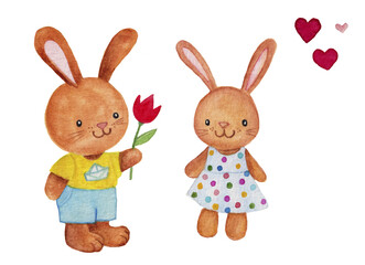 Watercolor illustration of a cute bunny couple with a red tulip in his hand.