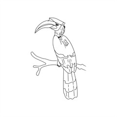 line art illustration of hornbill bird © selos47