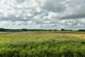Champ de blé sous un ciel gris près du bourg de Champagne au Périgord Vert  © Photocolorsteph