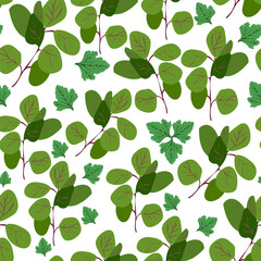 seamless pattern of greens for salads and serving on an isolated background in flat style. mint and oregano.Vector image.