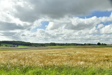 Champ de blé sous un ciel gris près du bourg de Champagne au Périgord Vert  © Photocolorsteph