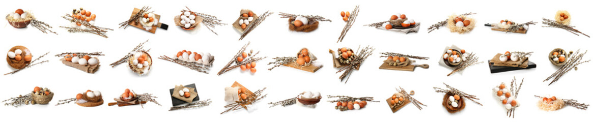 Set of many Easter eggs and pussy willow branches on white background