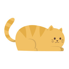 cat animal flat illustration