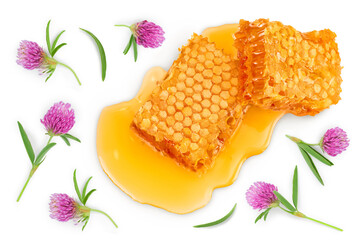 Honeycombs and honey puddle with clover flower isolated on white background. Top view. Flat lay