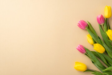 Spring concept. Top view photo of bouquet of yellow and pink tulips on isolated pastel beige background with copyspace
