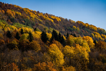 Fototapeta premium Autumn views in the mountains