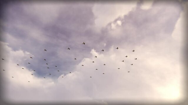 Bomber Planes 3D Video Animation