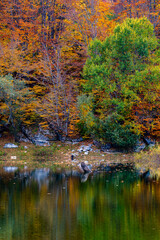 Autumn views in the mountains