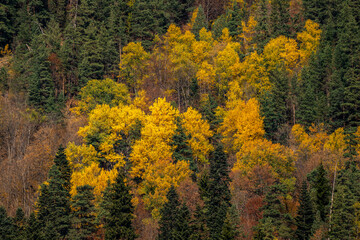 Fototapeta premium Autumn views in the mountains