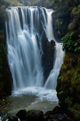 Obraz premium waterfall in the forest