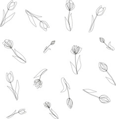 Fototapeta premium Tulips flower line pattern. Linear tulips outline background for print. flowers background. greeting card, website, printing on fabric, gift wrap, postcard and wallpapers.