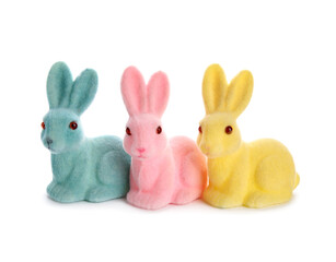 Easter bunnies isolated on white background