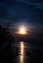 Fototapeta na wymiar Mondlicht in der Nacht am Meer 