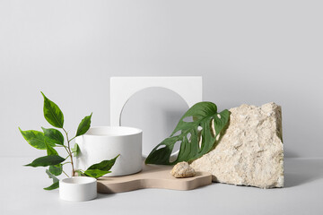 Plaster podiums with monstera leaf and ficus branch on white background