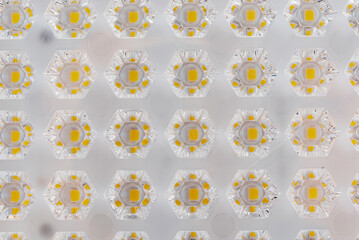 switch and electrical connectors