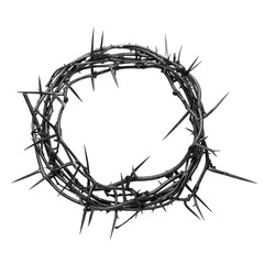 Crown of thorns on white background, top view