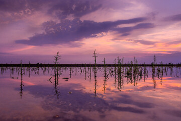 sunset over the lake