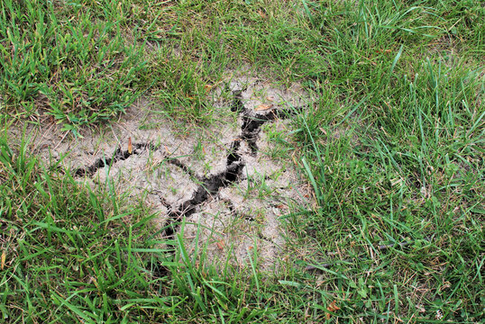 An area of dry, cracked ground in a suburban lawn, Midwest, USA.