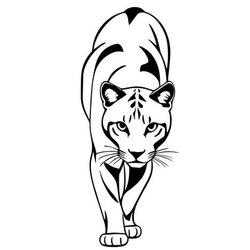 Illustration of a majestic panther walking confidently. The black and white monochrome image showcases the feline's grace and strength with bold lines and shading