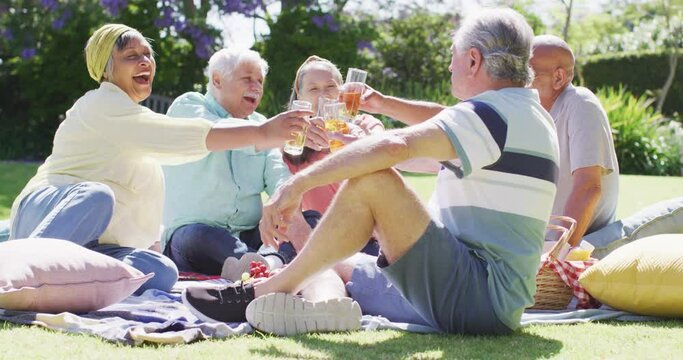 Happy diverse senior male and female friends making a toast at a picnic in sunny garden, slow motion