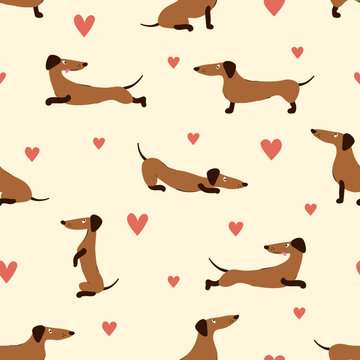 Seamless pattern with cute cartoon dachshunds and hearts. Vector dog illustration