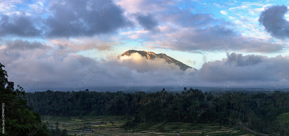 Canvas Prints rice field and volcano agung, bali