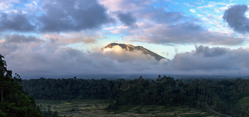 Rice field and volcano Agung, Bali